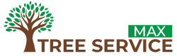Expert Tree Services in Tempe, AZ