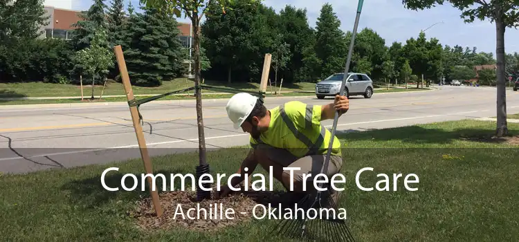 Commercial Tree Care Achille - Oklahoma