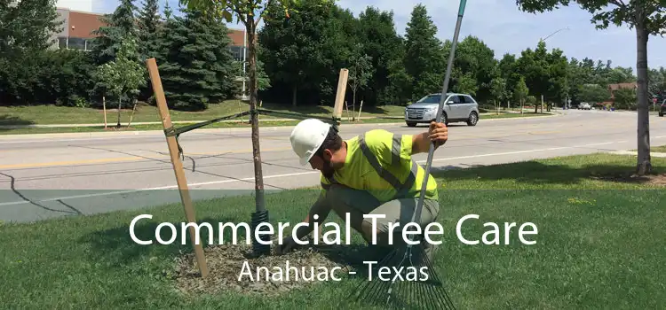 Commercial Tree Care Anahuac - Texas