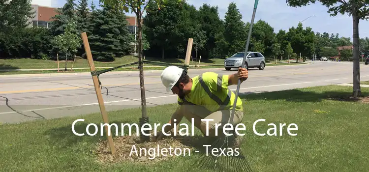 Commercial Tree Care Angleton - Texas