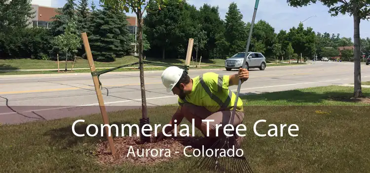 Commercial Tree Care Aurora - Colorado