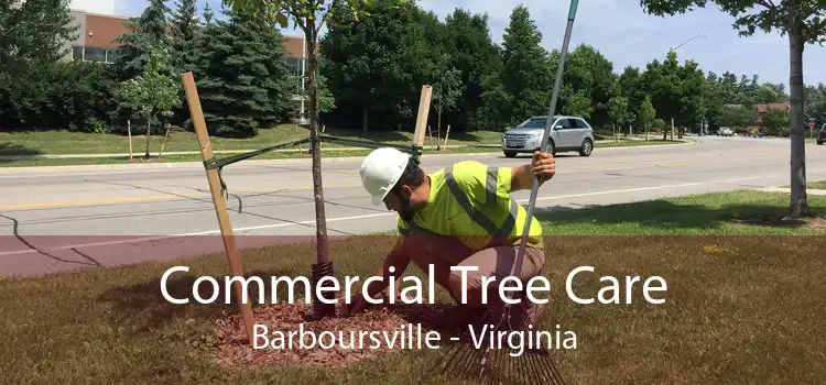 Commercial Tree Care Barboursville - Virginia