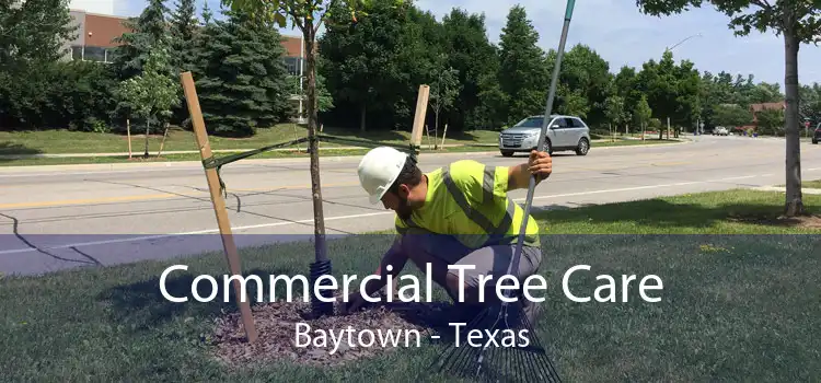 Commercial Tree Care Baytown - Texas