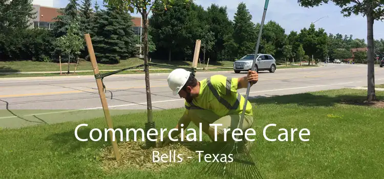 Commercial Tree Care Bells - Texas