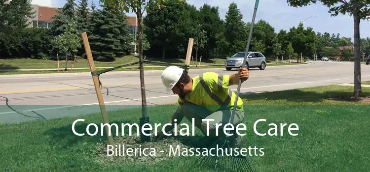 Commercial Tree Care Billerica - Massachusetts