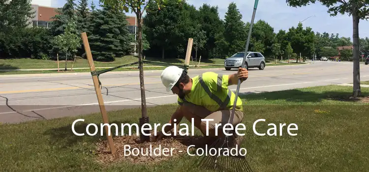 Commercial Tree Care Boulder - Colorado