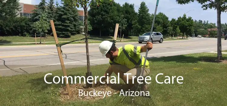 Commercial Tree Care Buckeye - Arizona