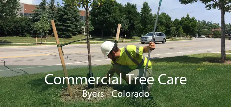 Commercial Tree Care Byers - Colorado