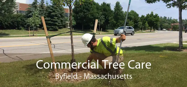 Commercial Tree Care Byfield - Massachusetts