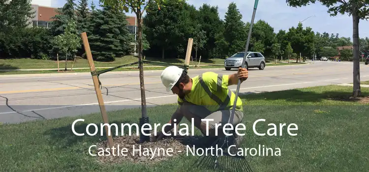 Commercial Tree Care Castle Hayne - North Carolina