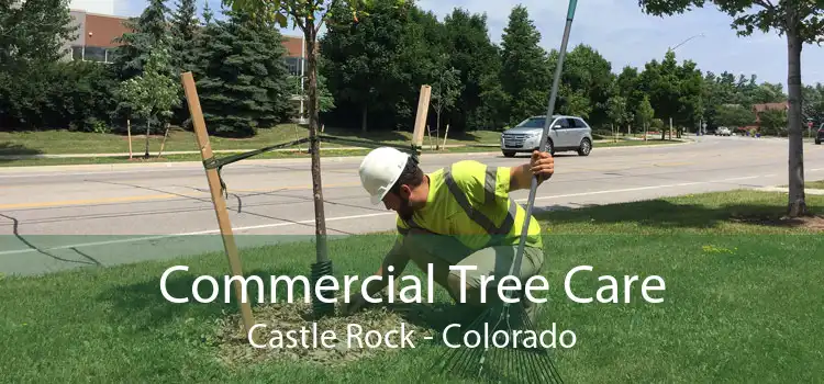 Commercial Tree Care Castle Rock - Colorado