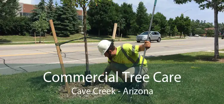 Commercial Tree Care Cave Creek - Arizona