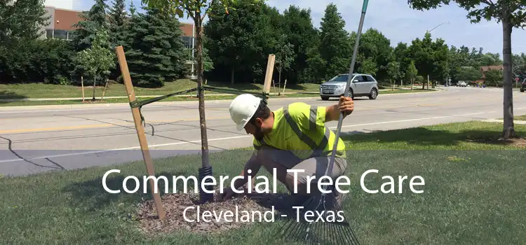 Commercial Tree Care Cleveland - Texas