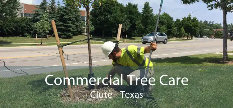 Commercial Tree Care Clute - Texas