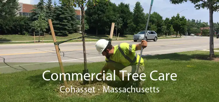 Commercial Tree Care Cohasset - Massachusetts