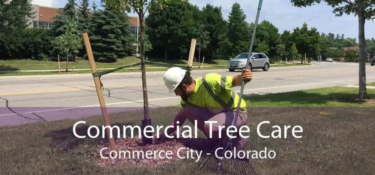 Commercial Tree Care Commerce City - Colorado