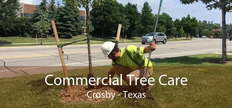 Commercial Tree Care Crosby - Texas