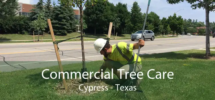 Commercial Tree Care Cypress - Texas