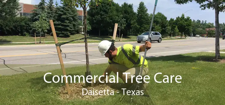 Commercial Tree Care Daisetta - Texas