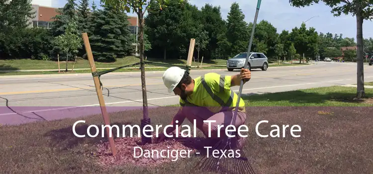 Commercial Tree Care Danciger - Texas