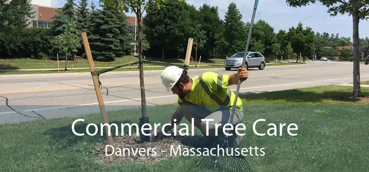 Commercial Tree Care Danvers - Massachusetts