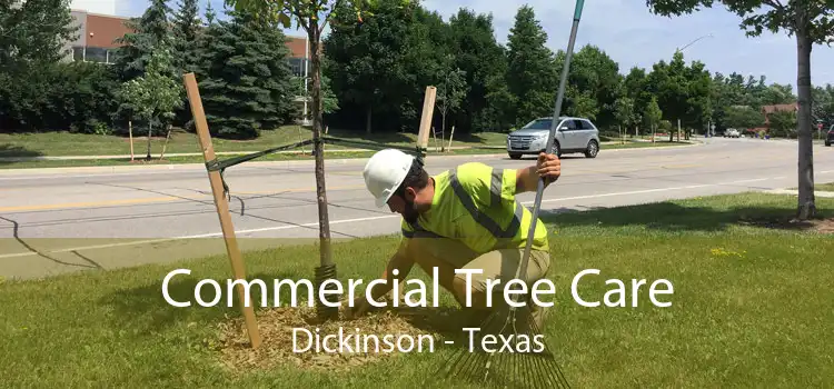 Commercial Tree Care Dickinson - Texas