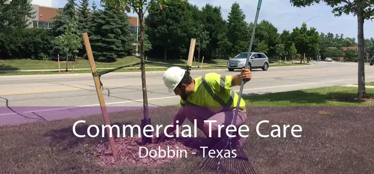 Commercial Tree Care Dobbin - Texas