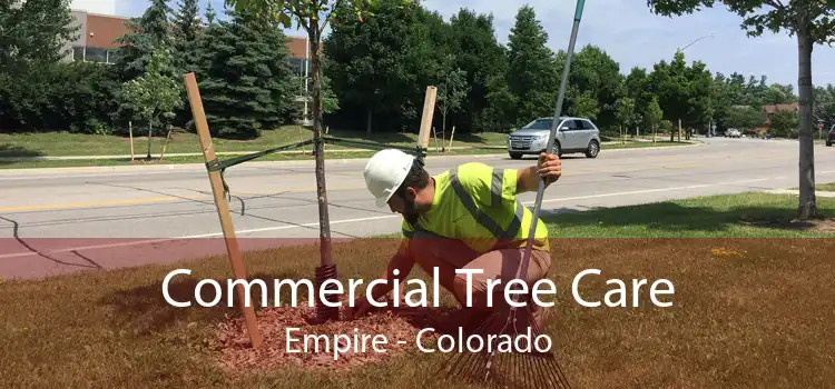 Commercial Tree Care Empire - Colorado