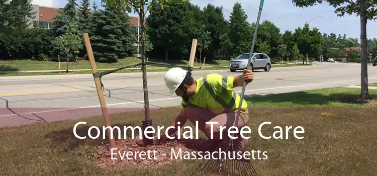 Commercial Tree Care Everett - Massachusetts