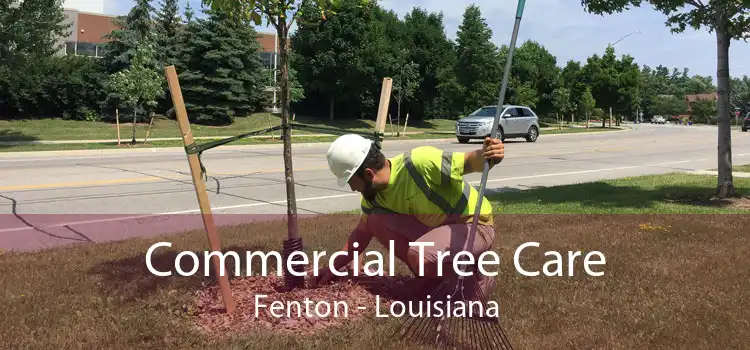 Commercial Tree Care Fenton - Louisiana