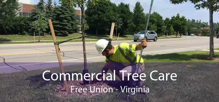 Commercial Tree Care Free Union - Virginia