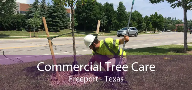 Commercial Tree Care Freeport - Texas