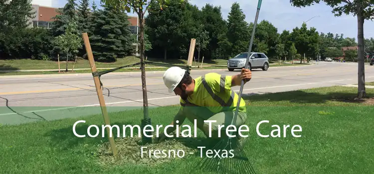 Commercial Tree Care Fresno - Texas