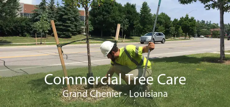 Commercial Tree Care Grand Chenier - Louisiana