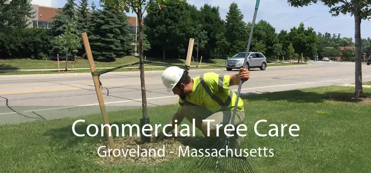 Commercial Tree Care Groveland - Massachusetts