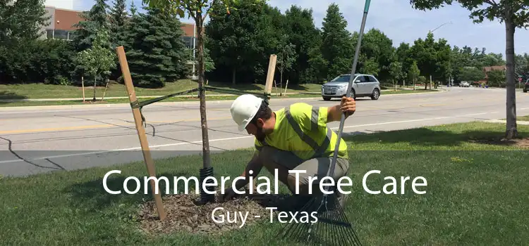 Commercial Tree Care Guy - Texas