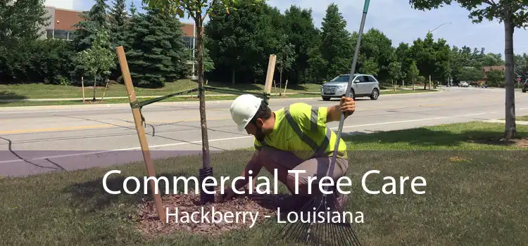 Commercial Tree Care Hackberry - Louisiana