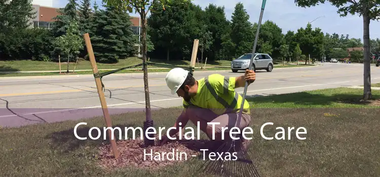 Commercial Tree Care Hardin - Texas