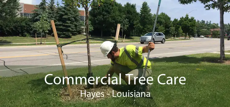 Commercial Tree Care Hayes - Louisiana