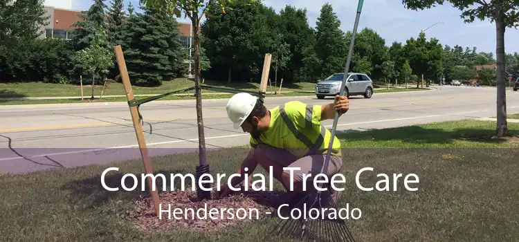 Commercial Tree Care Henderson - Colorado