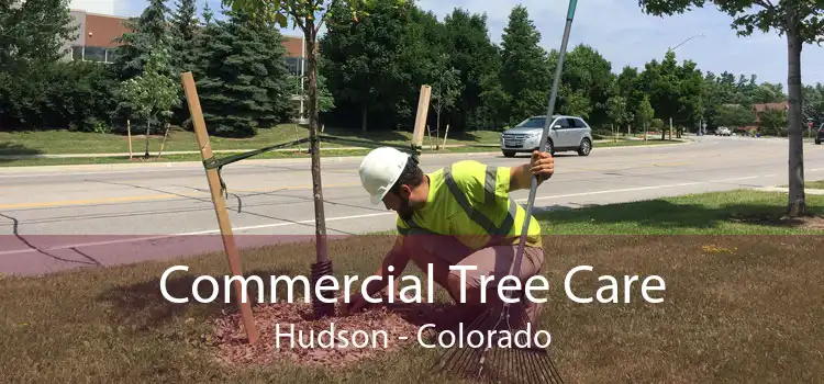 Commercial Tree Care Hudson - Colorado