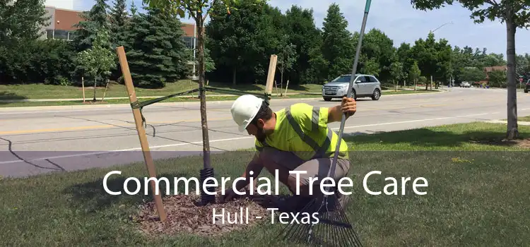 Commercial Tree Care Hull - Texas