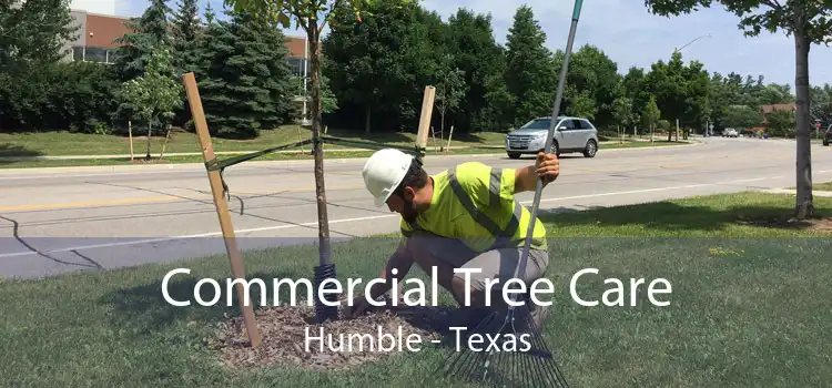 Commercial Tree Care Humble - Texas