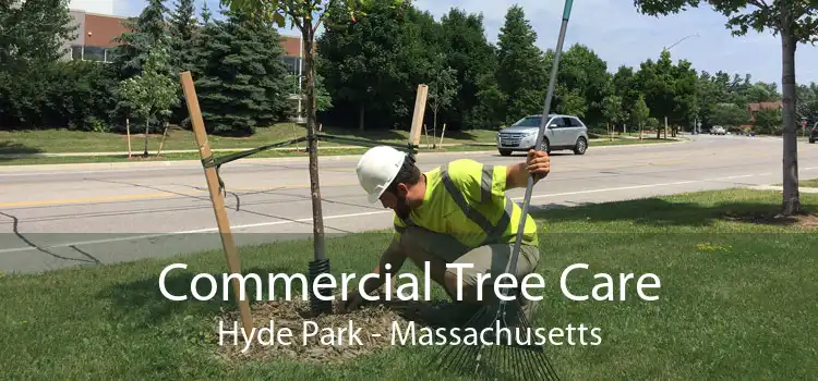 Commercial Tree Care Hyde Park - Massachusetts