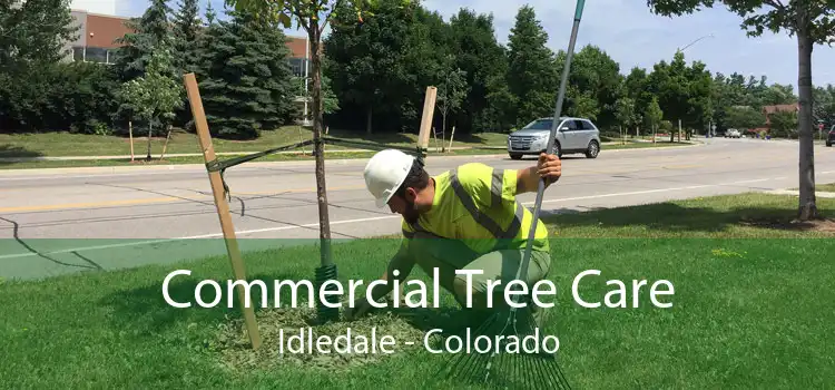 Commercial Tree Care Idledale - Colorado