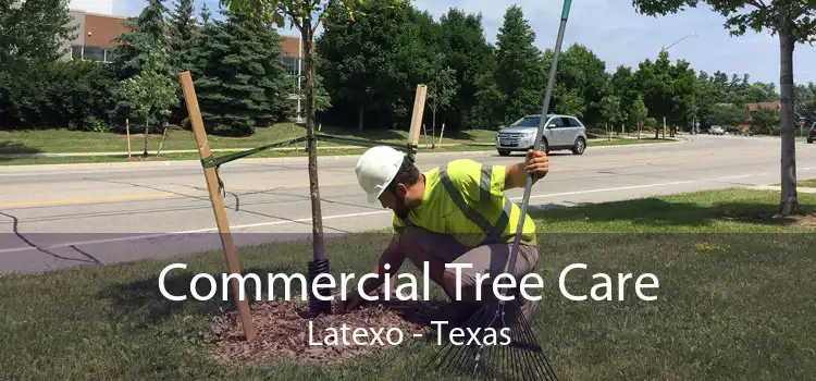 Commercial Tree Care Latexo - Texas