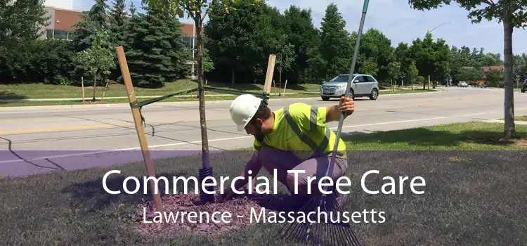 Commercial Tree Care Lawrence - Massachusetts