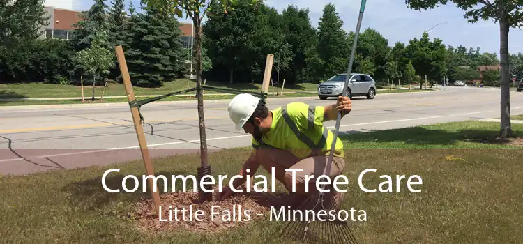 Commercial Tree Care Little Falls - Minnesota