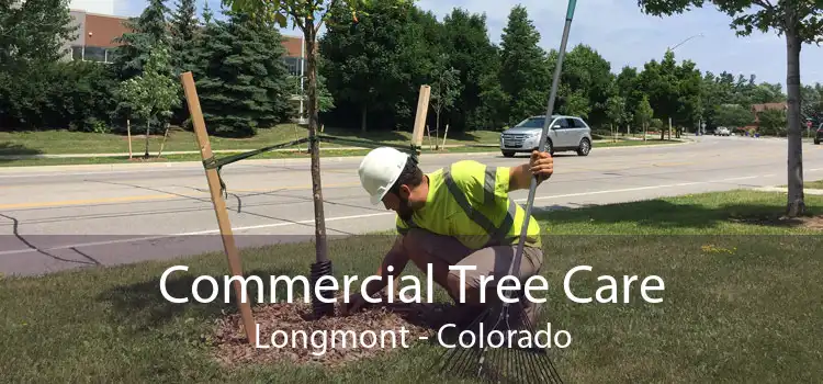 Commercial Tree Care Longmont - Colorado