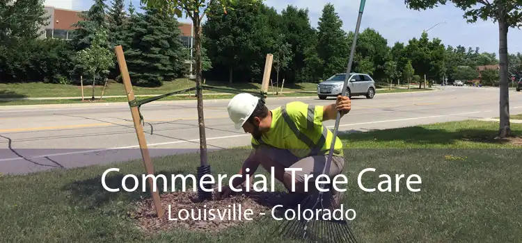 Commercial Tree Care Louisville - Colorado